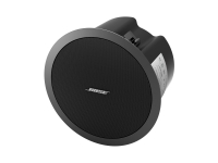 Bose® FreeSpace® DS 100F