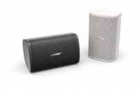 Bose® DesignMax™ DM2S