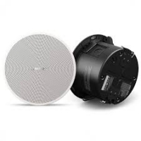 Bose® DesignMax™ DM2C-LP