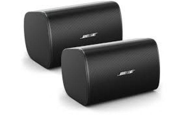 Bose® DesignMax™ DM6SE