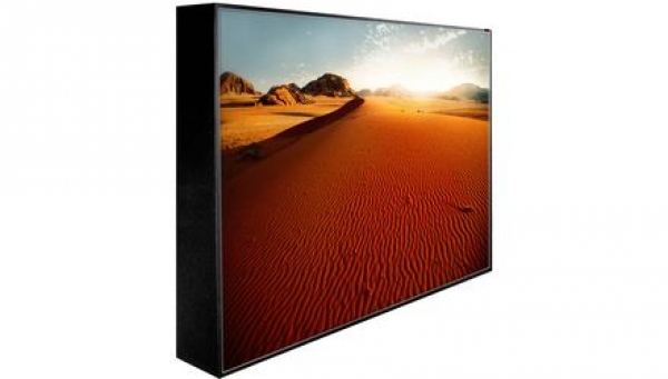 Peerless 55&#039;&#039; Extreme Outdoor Display IP68 Landscape